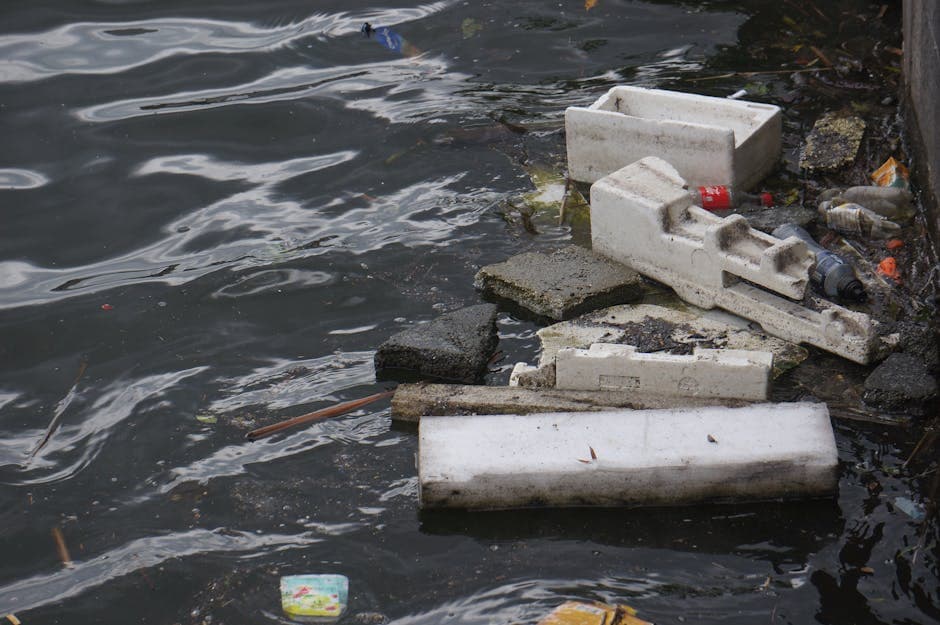 Cover Image for How Does Plastic End Up in the Ocean? 5 Pathways Explained