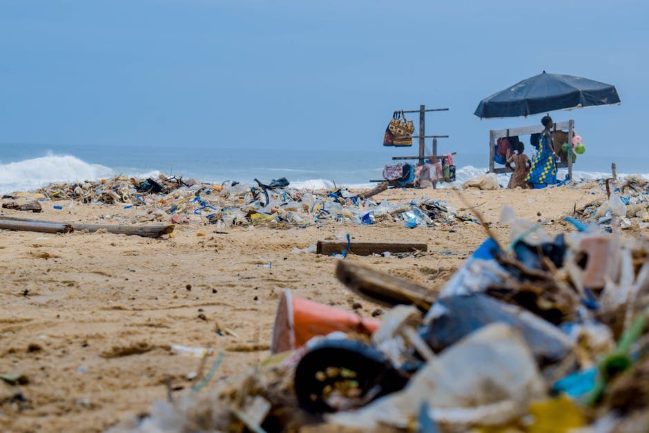 Cover Image for Trash in the Ocean: Where It Comes From and Where It Ends Up